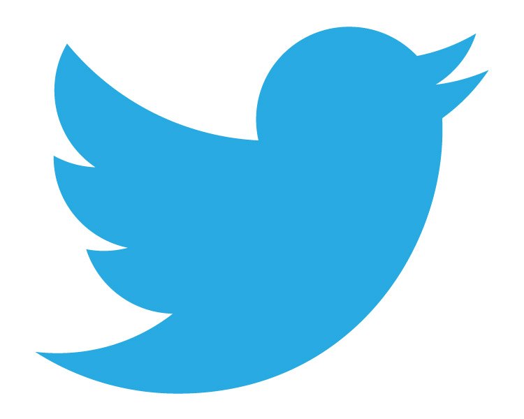 Resultado de imagem para icones redes sociais twitter